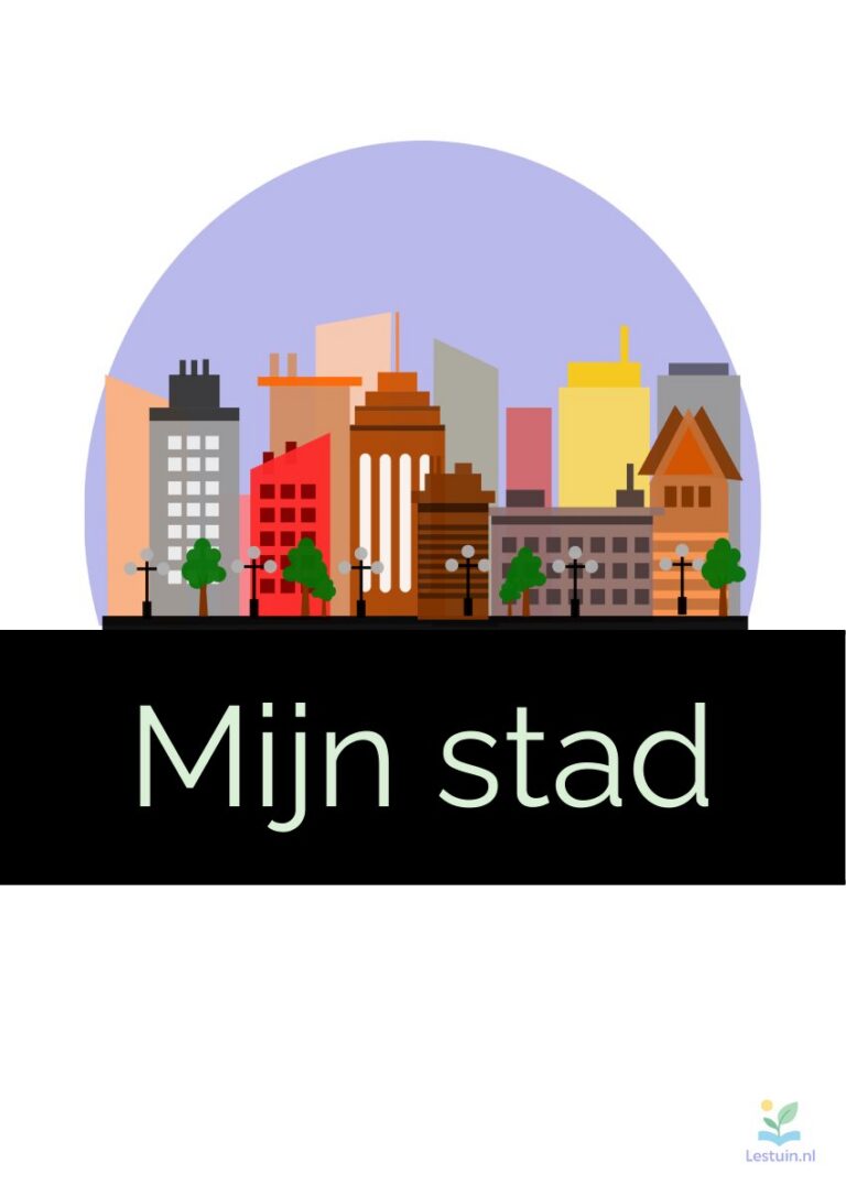 Voorbeeld van Plusproject: ontwerp mijn stad
